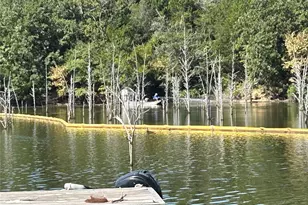 6435 Fm 17 Lots 68-77, Yantis, TX 75497 - Photo 33