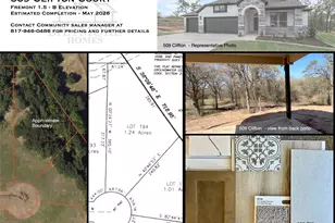 436 McAlpine Dr, Springtown, TX 76082 - Photo 25