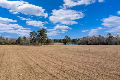 401 An County Road 138, Elkhart, TX 75839 - Photo 35