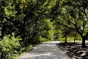 613 Holleman Dr, Princeton, TX 75407 - Photo 25