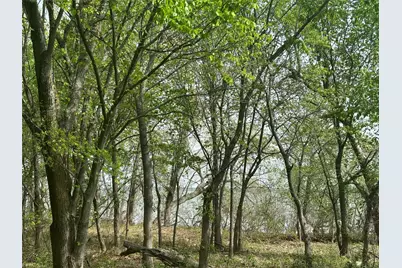 161 Aspen Road, Shady Shores, TX 76208 - Photo 3