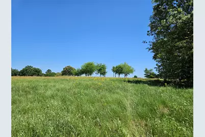 Tbd Fm 317, Chandler, TX 75758 - Photo 13