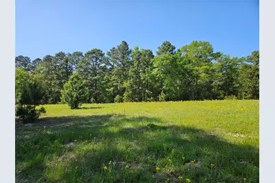 Tbd Fm 317, Chandler, TX 75758 - Photo 9