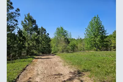 Tbd Fm 317, Chandler, TX 75758 - Photo 7