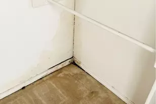 4113 Esters Rd, Irving, TX 75038 - Photo 21