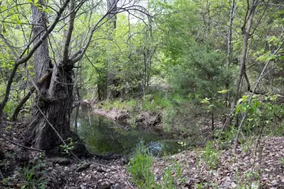 277 Kelly Brook Lane, Weatherford, TX 76087 - Photo 29