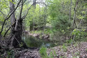 277 Kelly Brook Ln, Weatherford, TX 76087 - Photo 29