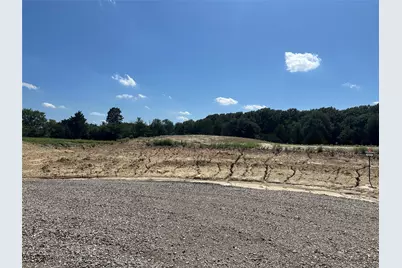 Lot 7 County Road 1110, Farmersville, TX 75442 - Photo 5