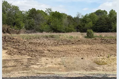 Lot 13 County Road 1110, Farmersville, TX 75442 - Photo 9
