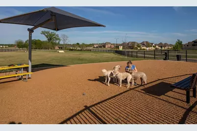 321 Bay Laurel Road, McKinney, TX 75071 - Photo 17