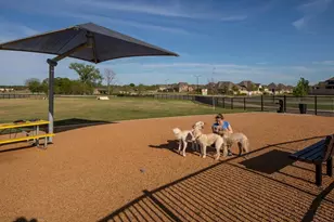 321 Bay Laurel Rd, McKinney, TX 75071 - Photo 17