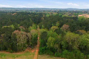 17804 Co Rd 4325, Frankston, TX 75163 - Photo 35