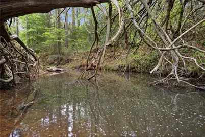 17804 Cr 4325, Frankston, TX 75163 - Photo 33