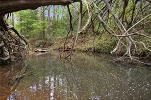 17804 Co Rd 4325, Frankston, TX 75163 - Photo 33