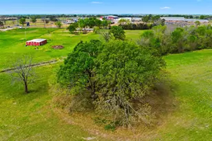 557 FM 196, Pattonville, TX 75468 - Photo 33