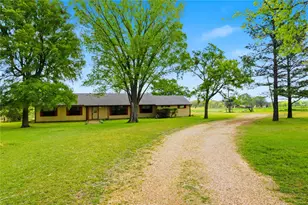 557 FM 196, Pattonville, TX 75468 - Photo 3