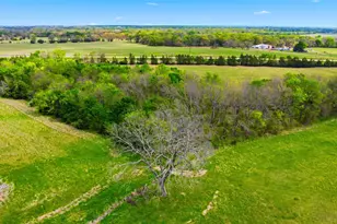 557 FM 196, Pattonville, TX 75468 - Photo 35