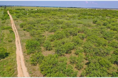 54.53 Acres Hwy 199 Road, Jacksboro, TX 76458 - Photo 13