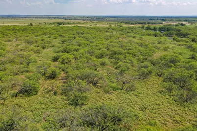 54.53 Acres Hwy 199 Road, Jacksboro, TX 76458 - Photo 17