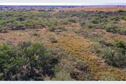 54.53 Acres Hwy 199 Road, Jacksboro, TX 76458 - Photo 5