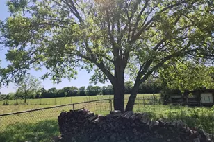 4440 Dripping Springs Rd, Sherman, TX 75090 - Photo 29