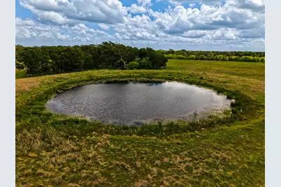 Tbd Tx-14, Groesbeck, TX 76642 - Photo 13