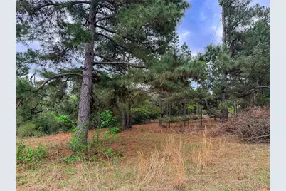 325 Fcr 261, Oakwood, TX 75855 - Photo 27