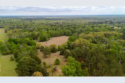 325 Fcr 261, Oakwood, TX 75855 - Photo 13