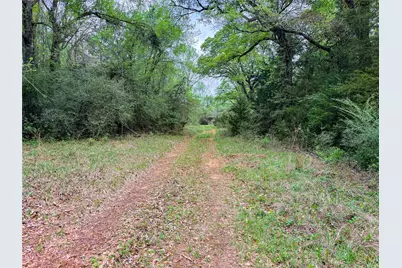 325 Fcr 261, Oakwood, TX 75855 - Photo 21