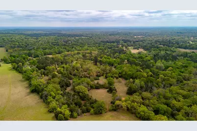 325 Fcr 261, Oakwood, TX 75855 - Photo 15