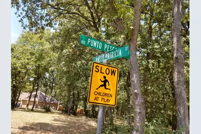 373 Punta Pescador, Gun Barrel City, TX 75147 - Photo 3