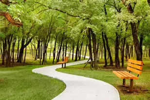 9011 Wildberry Rd, Oak Point, TX 75068 - Photo 39