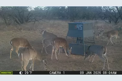 Tbd Tbd County Rd 291, Breckenridge, TX 76464 - Photo 11