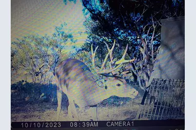 Tbd Tbd County Rd 291, Breckenridge, TX 76464 - Photo 3