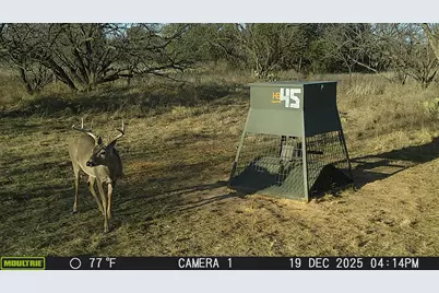 Tbd Tbd County Rd 291, Breckenridge, TX 76464 - Photo 5