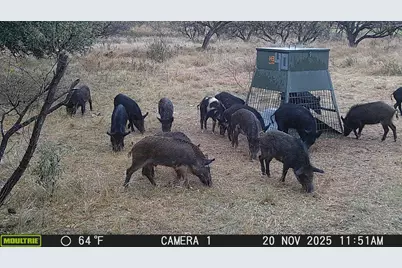 Tbd Tbd County Rd 291, Breckenridge, TX 76464 - Photo 39