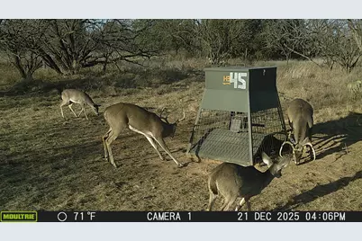 Tbd Tbd County Rd 291, Breckenridge, TX 76464 - Photo 9