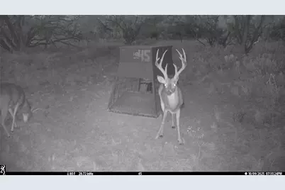 Tbd Tbd County Rd 291, Breckenridge, TX 76464 - Photo 1