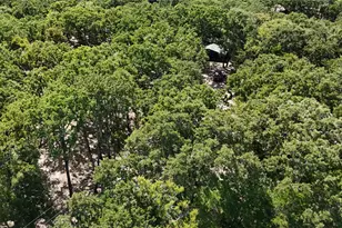 9972 Co Rd 2434, Terrell, TX 75160 - Photo 5