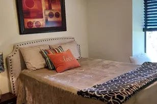1202 Spanish Flower Dr, Granbury, TX 76048 - Photo 21