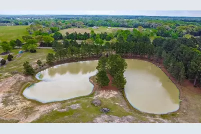 1215 Cr4165, Quitman, TX 75783 - Photo 7