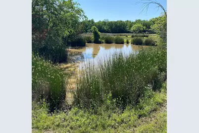 1215 Cr4165, Quitman, TX 75783 - Photo 5