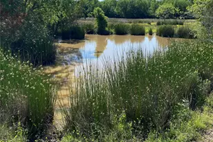 1215 Cr4165, Quitman, TX 75783 - Photo 5