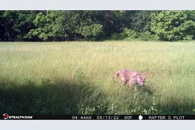 Tbd Dry Valley Road, Sunset, TX 76270 - Photo 29
