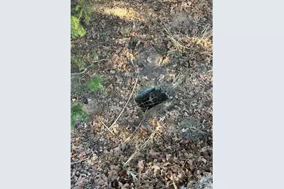 0000 Sweetgum Drive, Murchison, TX 75778 - Photo 13