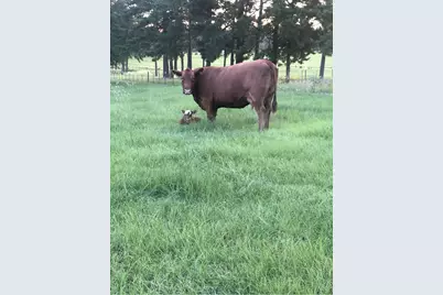 3843 Fm 2199, Marshall, TX 75672 - Photo 21