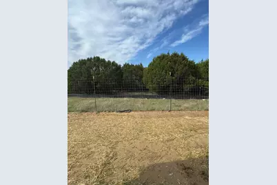 350 Azalea Trail, Granbury, TX 76048 - Photo 3