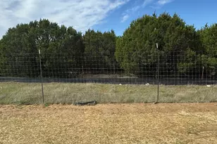 350 Azalea Trail, Granbury, TX 76048 - Photo 3