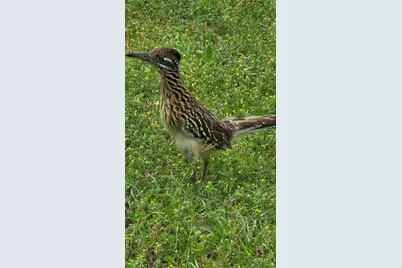 820 Ports O Call Drive, Granbury, TX 76048 - Photo 21