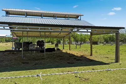 373 Wildbird Lane, Axtell, TX 76624 - Photo 19